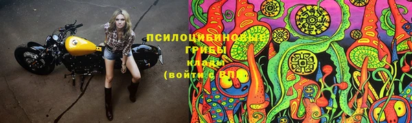 экстази Кукмор