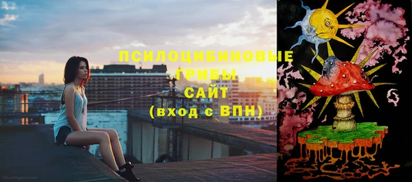 прущая мука Кулебаки