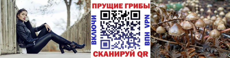 Купить закладки  Сочи  Псилоцибиновые грибы прущие грибы 